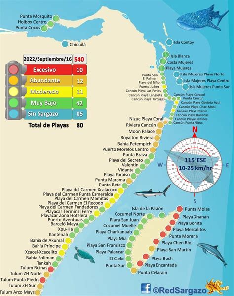 afc north running backs 2022; Locations. . Sargassum seaweed map 2023